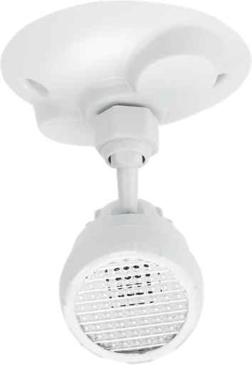 Remote Head