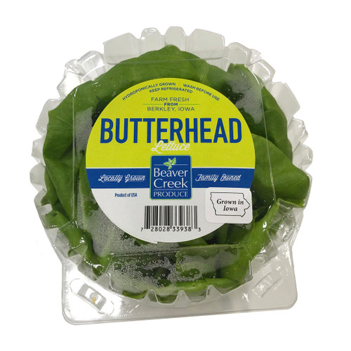 Butterhead lettuce clamshell