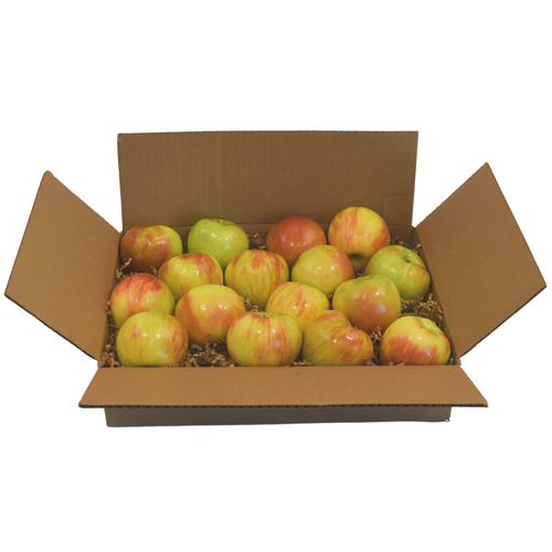 Fresh Honeycrisp Apple Pack (16 pieces)