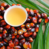 Ingredient Spotlight: Palm Oil