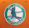 New Era St. Louis Cardinals Cactus Fruit 59FIFTY Fitted Hat 100 Year Patch