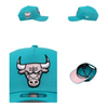 Chicago Bulls 9FORTY A-Frame Snapback Hat Cap Teal / Pink