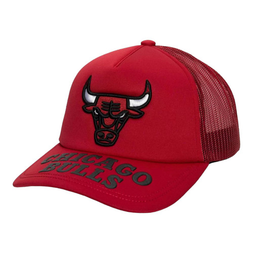 Mitchell & Ness Chicago Bulls Puff The Magic Snapback Trucker Hat