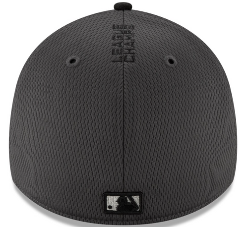 New Era Washington Nationals National League Champions 39Thirty Flex Hat Gray