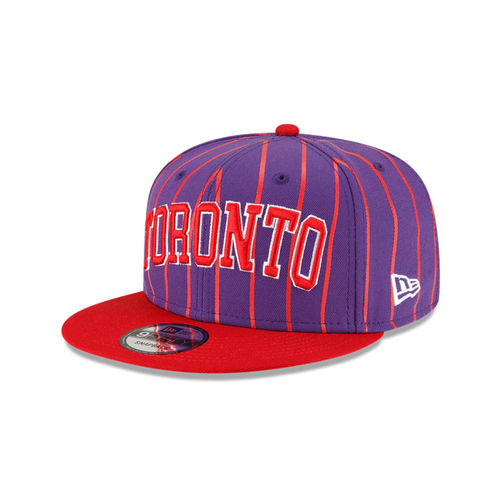 Toronto Raptors City Arch Edition Throwback Snapback Hat