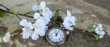 Ready to help your clients turn back time?