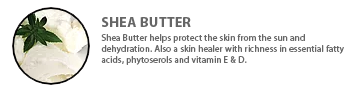 ingredients-sheabutter2.png