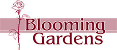 Blooming Gardens, Inc - Cutler Bay, FL