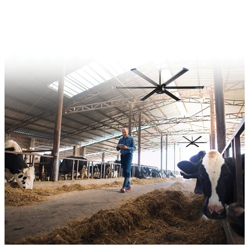 Cool Boss™ CB11HVLS 11.5' Industrial Overhead Fan