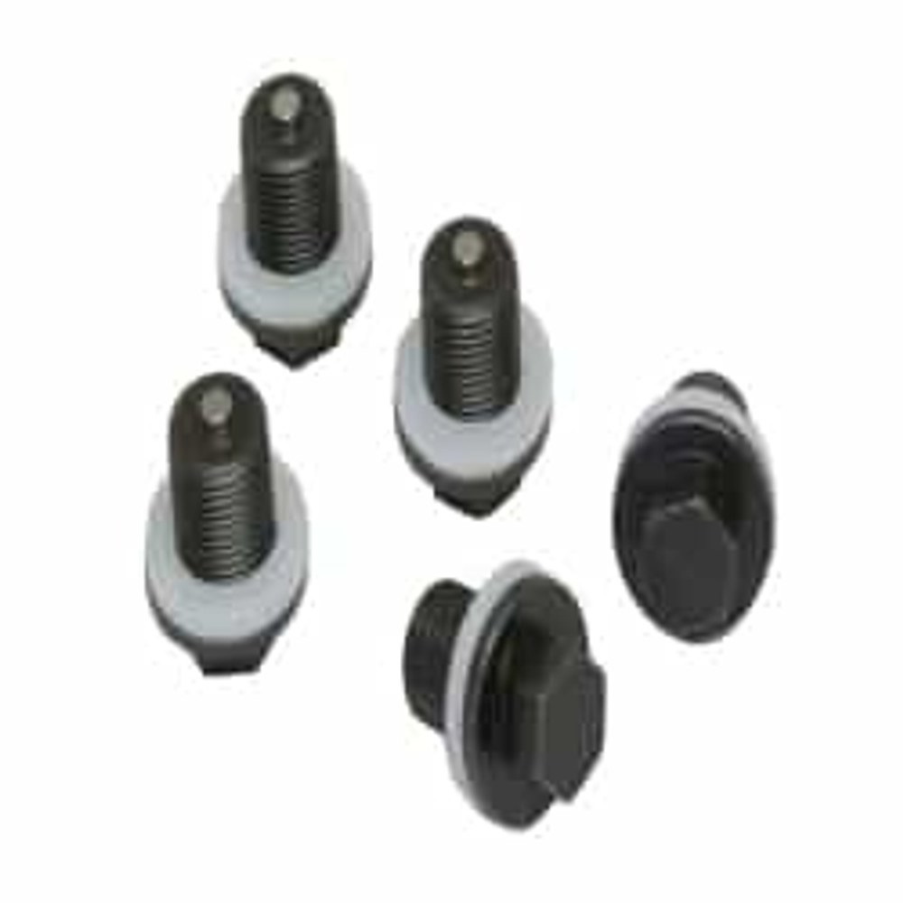 Plug & Gasket (Set of 5) Plug & Gasket (Set of 5)