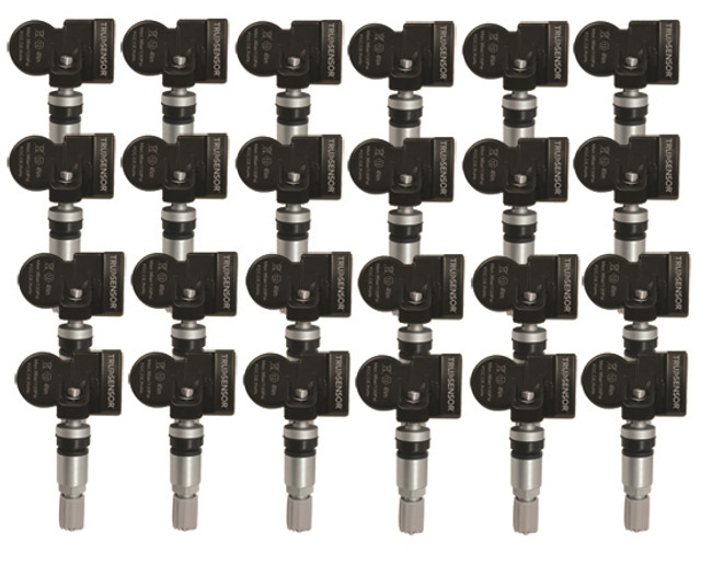 Ranger TruSensor TSS12M Programmable 2 in 1 Silver Universal Metal Sensors - 24pk Ranger TruSensor TSS12M Programmable 2 in 1 Silver Universal Metal Sensors - 24pk