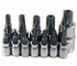 12pc 5-lobe Tamper-resistant Star Plus Bit Socket Set
