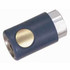 1/4" Female NPT Gold Coupler 1/4" Female NPT Gold Coupler