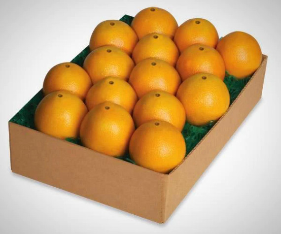 1 Tray Pack Navel Oranges
