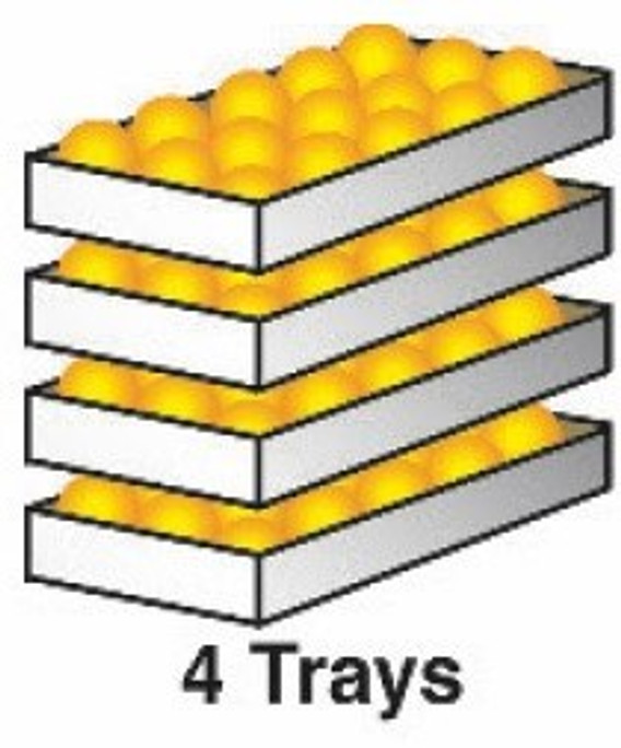 4 Tray Pack W Murcott Tangerines Box