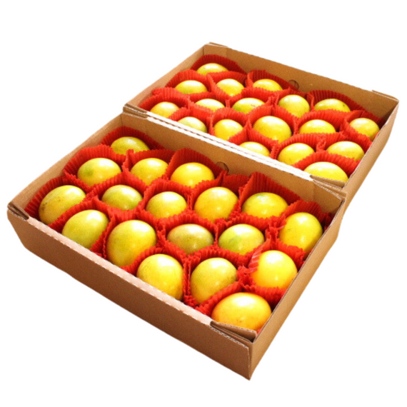 2 Tray Pack Meyer Lemons