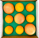 Citrus Sampler 6 Oranges & 3 Grapefruit