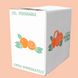 4 Tray Pack Temple Oranges Box