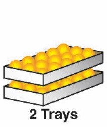2 Tray Pack Navel Oranges