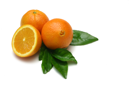 Mandarin and Navel Oranges