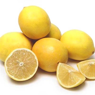 Meyer Lemon — Citrus Men