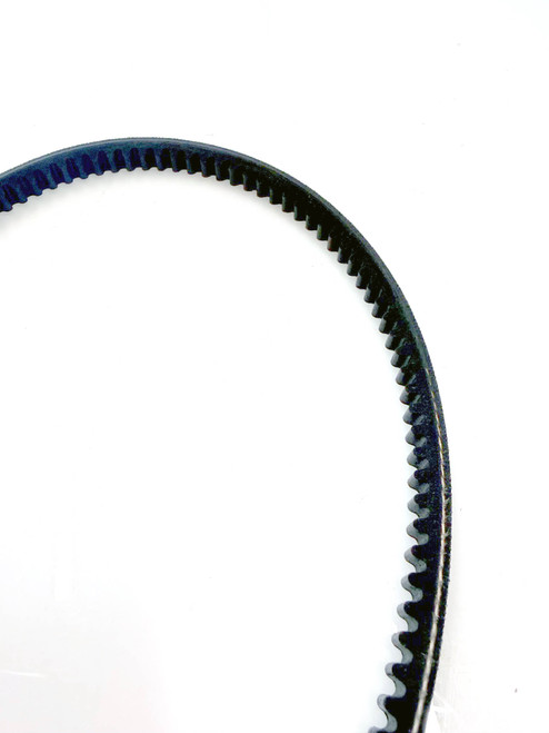 Fan Belt, 813mm, Dynamo or early alternator for classic Mini