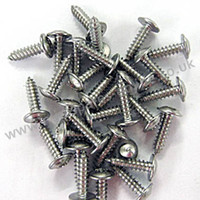 Stainless self tapping screws