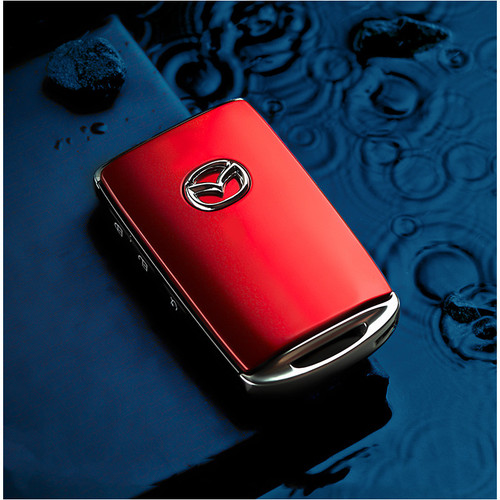 Car key case Q119-CJQCNBQC00248