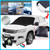Color: Mirror Cover, Quantity: 1pc - Car snow cover