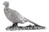 Silver Pheasant