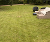 Stripes created by Gardena Smart Sileno Sense 600
