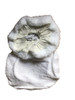 Cotton and synthetic wool polishing bonnets rear