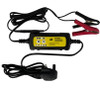 AA Battery Charger/Maintainer 6v & 12v batteries