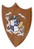 3D Coat of Arms