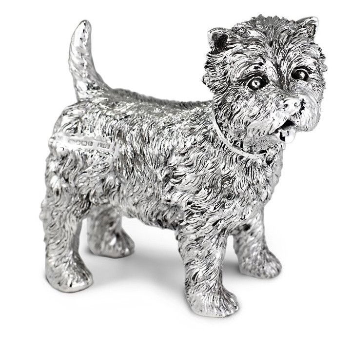 Silver standing Westie