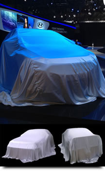 Car Reveal Covers