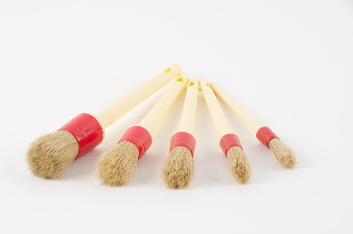 Set of 5 Boars Bristle Car Detailing Brushes