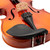Theodore Student Violin Setup - Beginners 4/4 Size Spruce Top