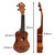 Mad About Dark Wood 21-inch soprano ukulele dimensions showing a compact beginner-friendly size. Ideal for children, students, classrooms, travel and learning to play.