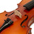 Theodore Student Violin Setup - Beginners 1/4 Size Spruce Top