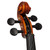 Theodore Student Violin Setup - Beginners 1/4 Size Spruce Top