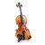 Theodore Wooden Violin Stand - Detachable Stand