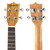 Concert Ukulele by World Rhythm, 23 inch Concert Uke with Bag, Picks - Zebrawood