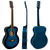 Tiger Blue Acoustic Guitar for Beginners with 6 Months FREE Lessons