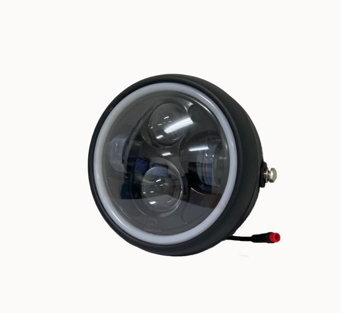 Lil' G Headlight Lil' G Headlight