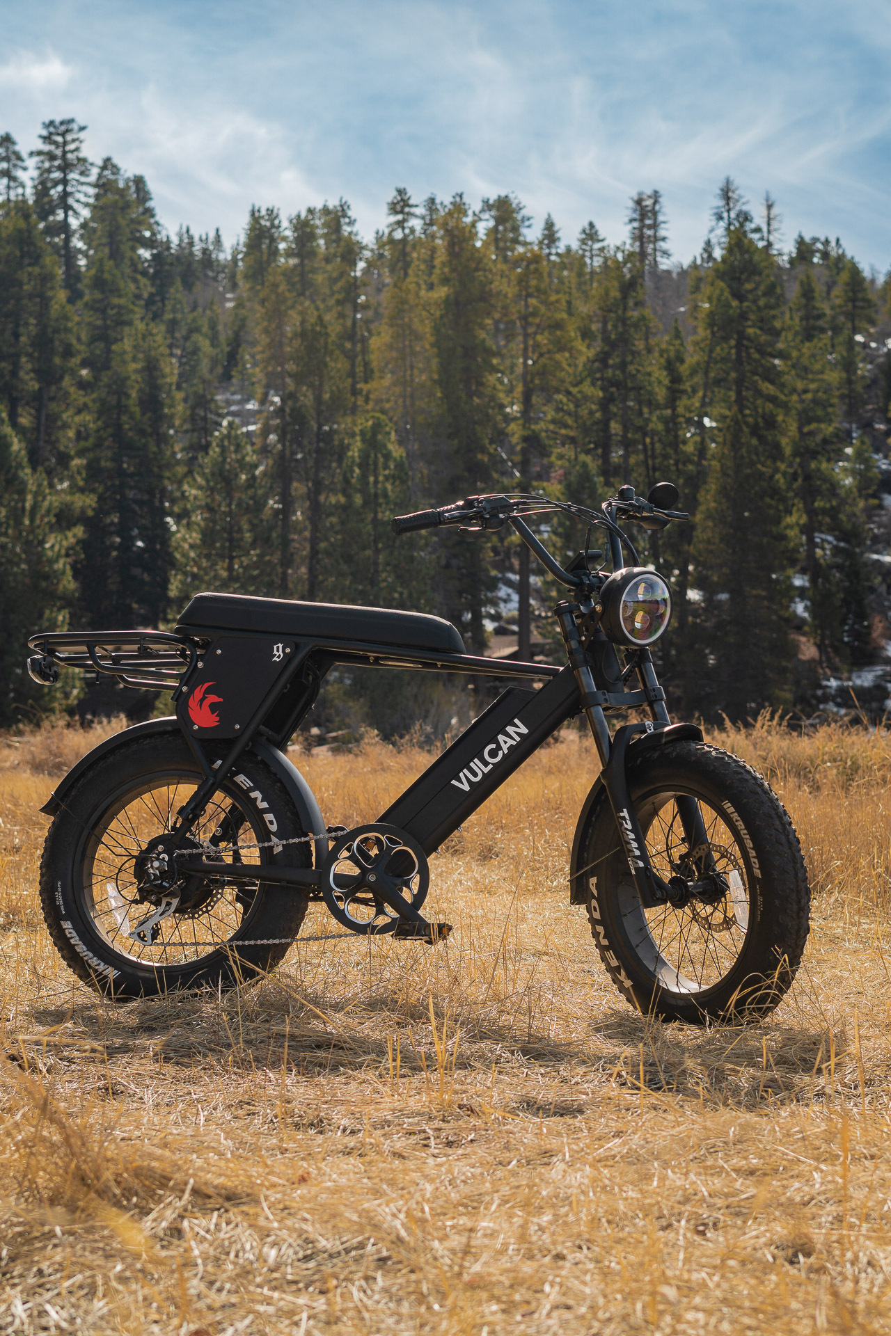 Fat tire ebike in the mountains