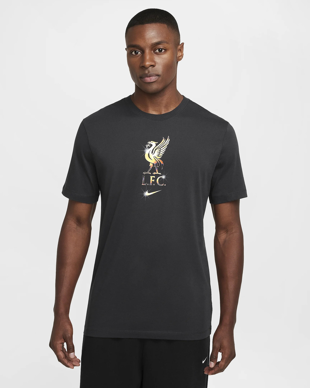 Nike Liverpool FC Mens Nike Crest Tee DK1