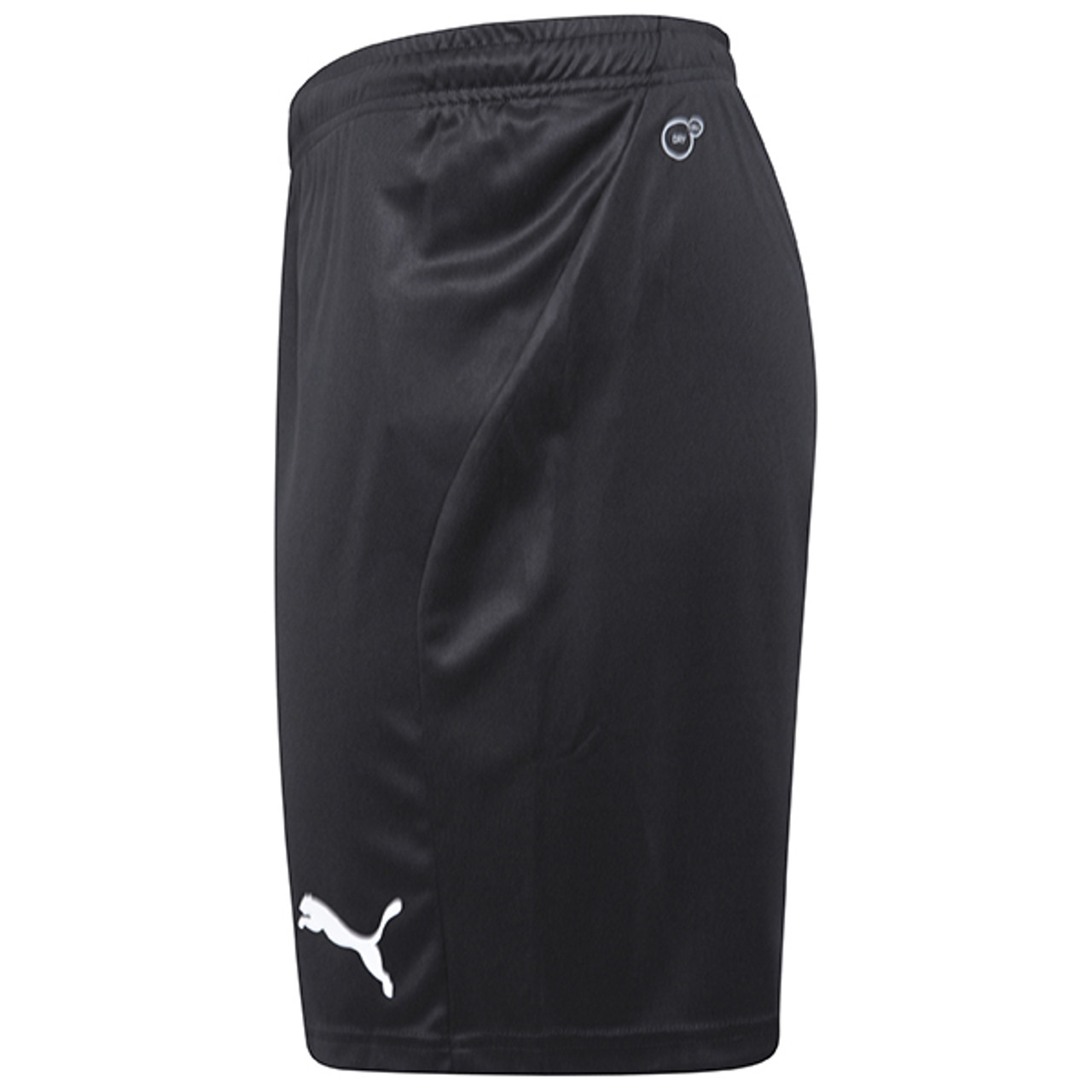 Oude tijden Om te mediteren zwak Puma Liga Shorts Core Jr - Black