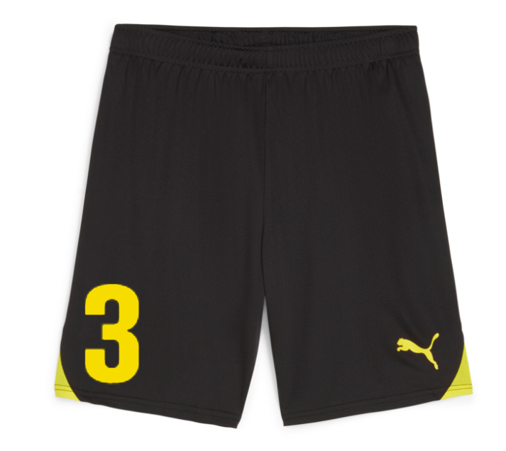 Birch Tree Stef Fit Puma Shorts Puma Youth Christian Pulisic Training Shorts  Navy