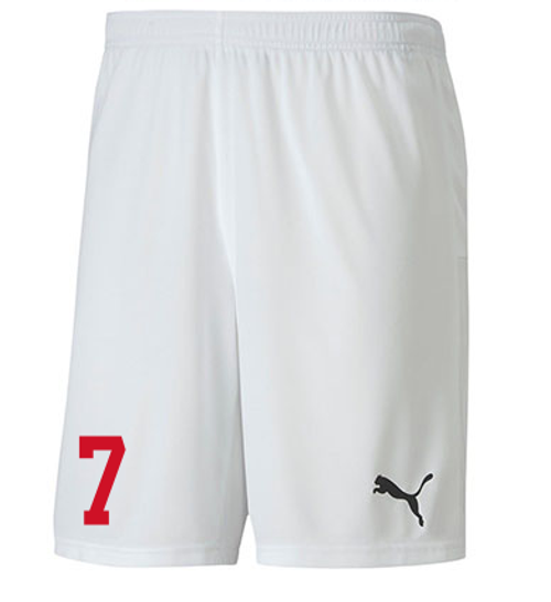 Puma Team Goal 23 Red Stars Shorts - White